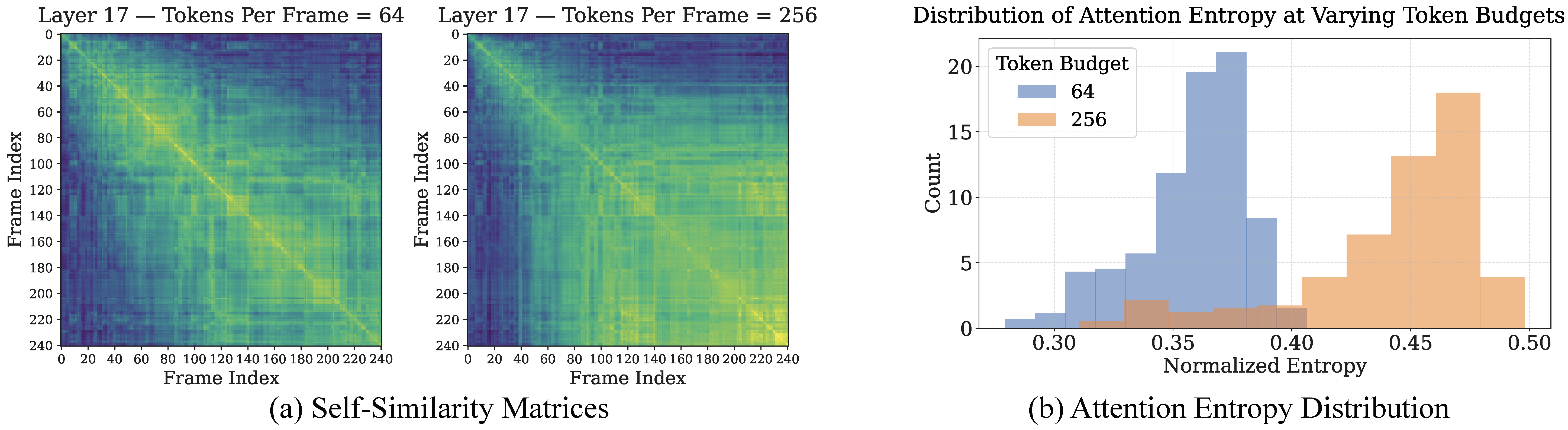 Distribution of Attention Entropy at Varying Token Budgets
